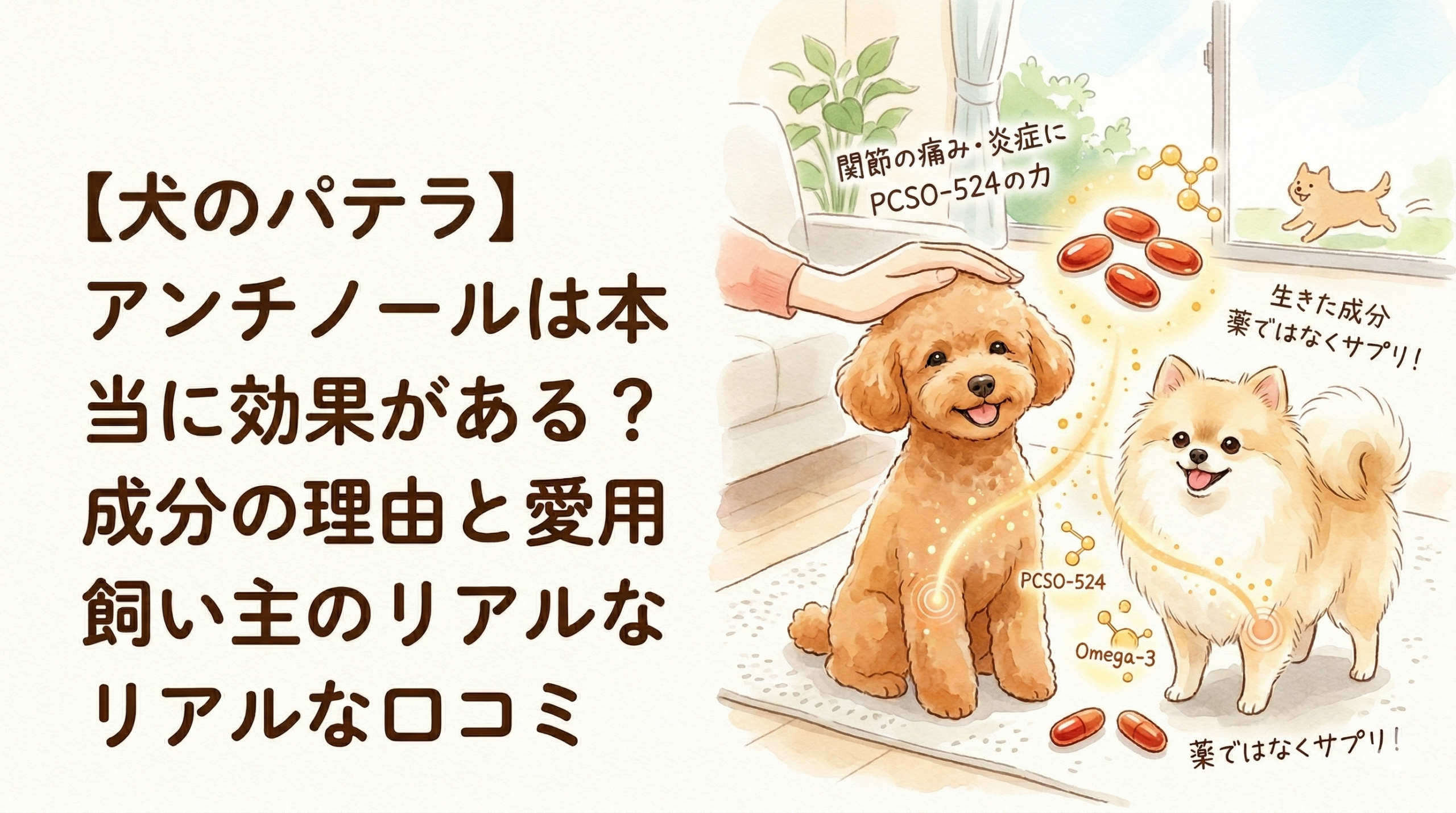アンチノールは本当に効果がある？成分の理由と愛用飼い主のリアルな口コミ