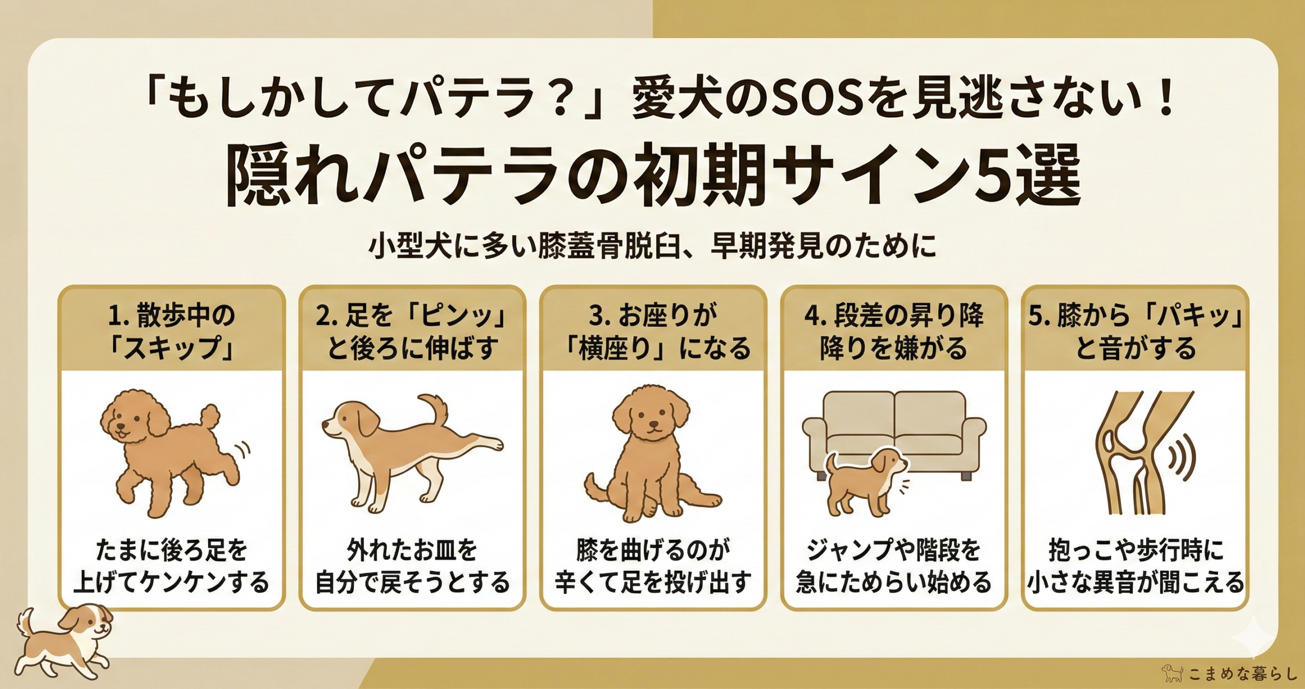 「もしかしてパテラ？」愛犬のSOSを見逃さない！隠れパテラの初期サイン5選