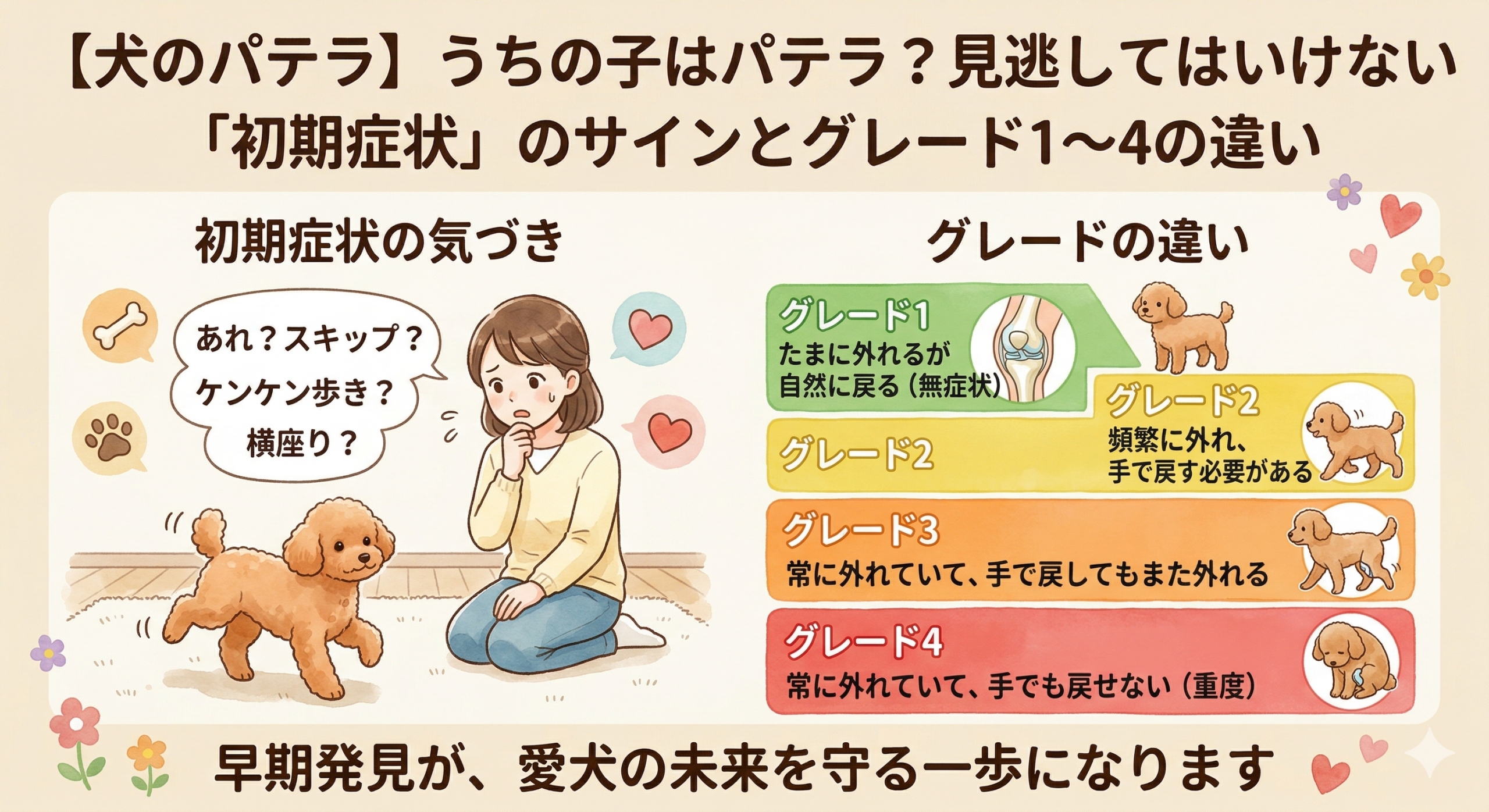 うちの子はパテラ？見逃してはいけない「初期症状」のサインとグレード1〜4の違い