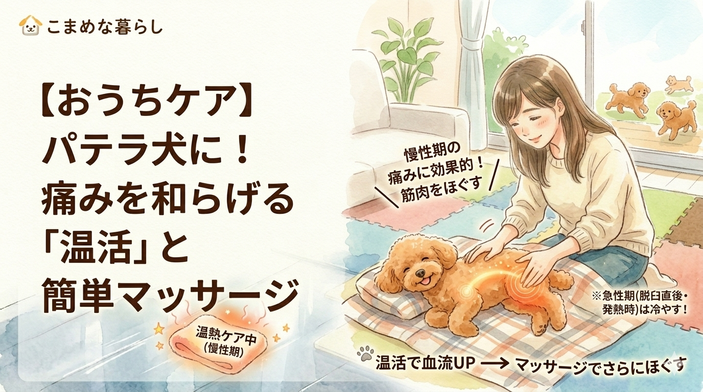 おうちでできるパテラケア！愛犬の痛みを和らげる「温活」と簡単マッサージ・ストレッチ